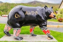 colorful bear sculpture from Cherokee Bears Project bigcovebear