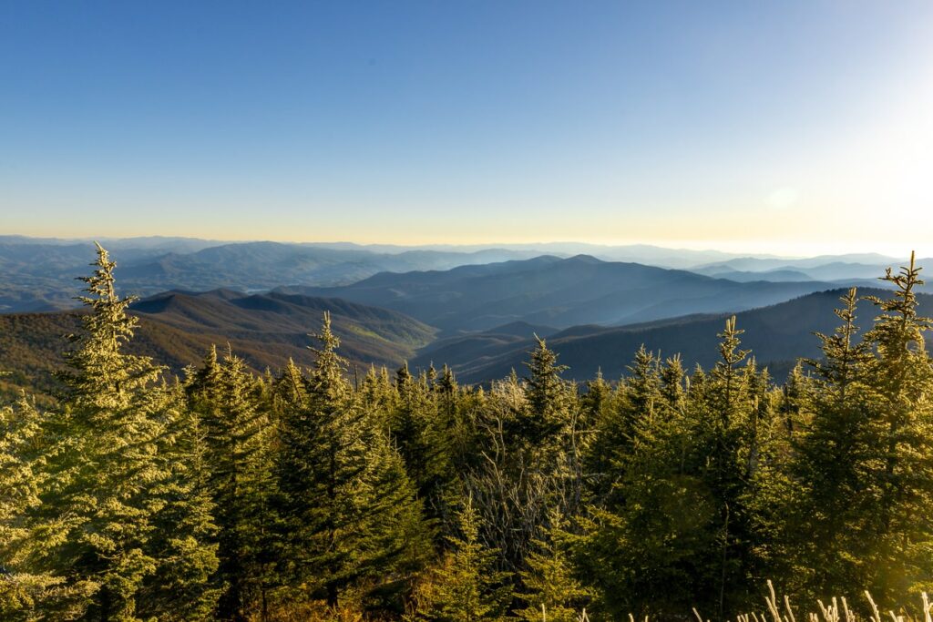 clingmans dome