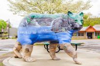 colorful bear sculpture from Cherokee Bears Project magic lake bear