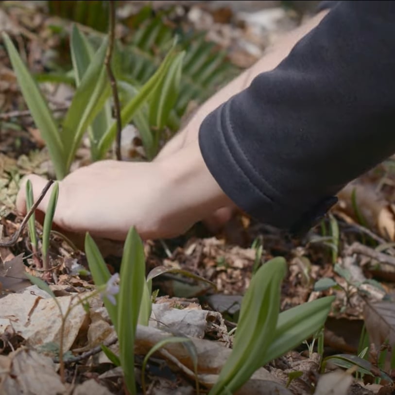 ramps