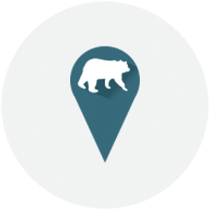 bear marker