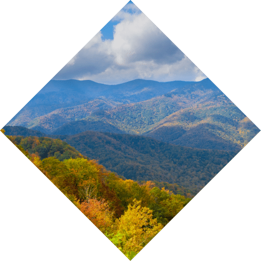 fall img