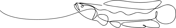 fishlinedrawing