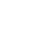 flower 1