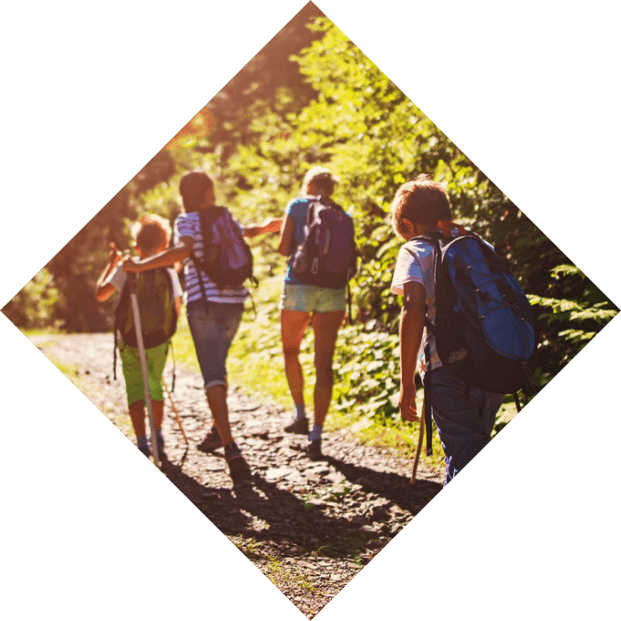 Family hiking on a forest trail in the sunshine, viewed from behind