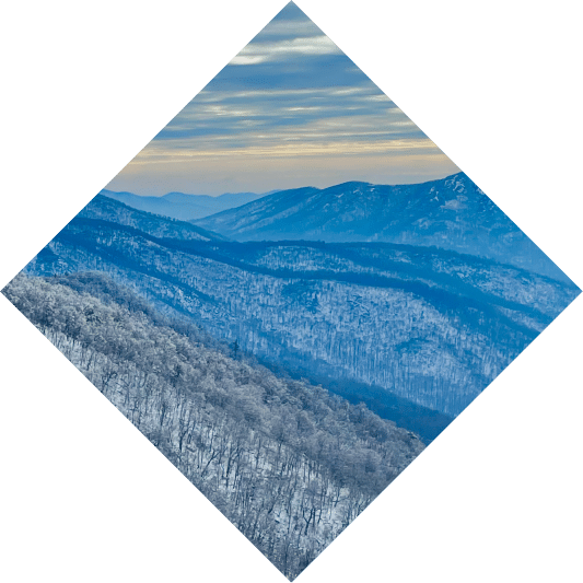 winter img