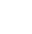 winter snowflake