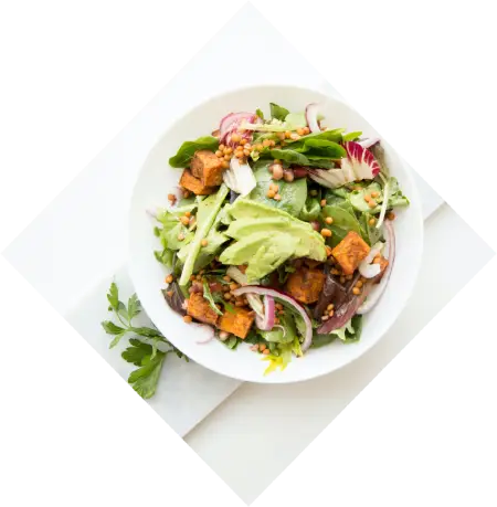 plate of high end food on a white plate