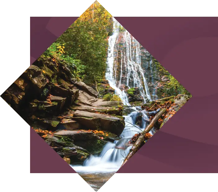 A cascading waterfall amidst lush greenery, known as Mingo Falls, displayed in a diamond-shaped frame against a yellow background. Sunlight filters through the trees, illuminating the falling water